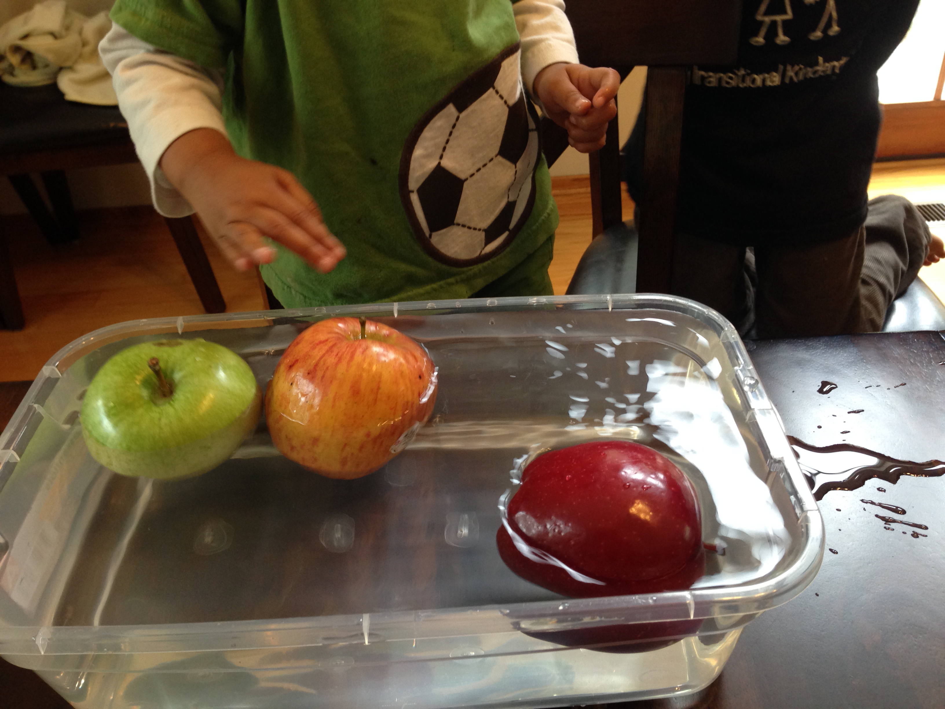 How Much Water Is in an Apple? Science Activity